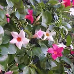 Apartamento On Sardinia