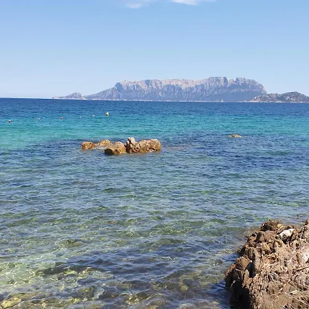 On Sardinia Όλμπια
